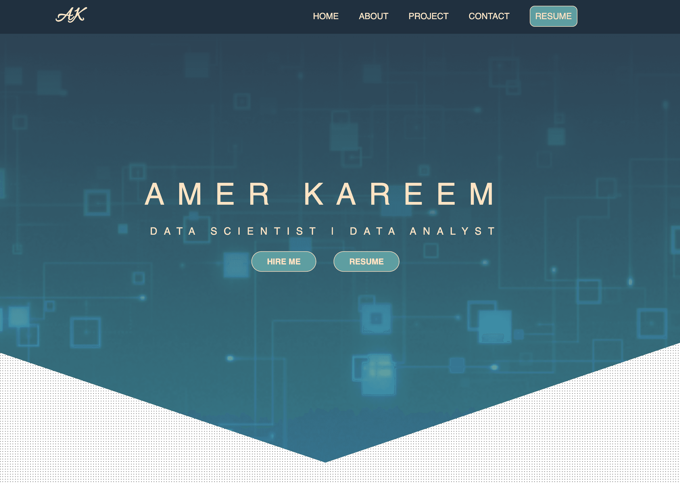 Amer's portfolio banner