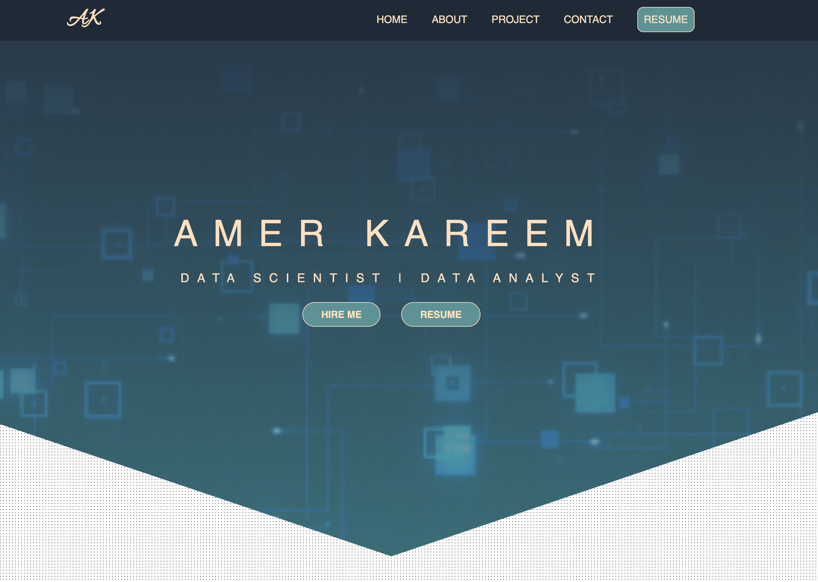 Amer's portfolio banner